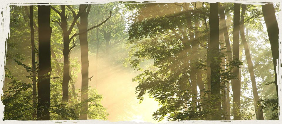 Feature image